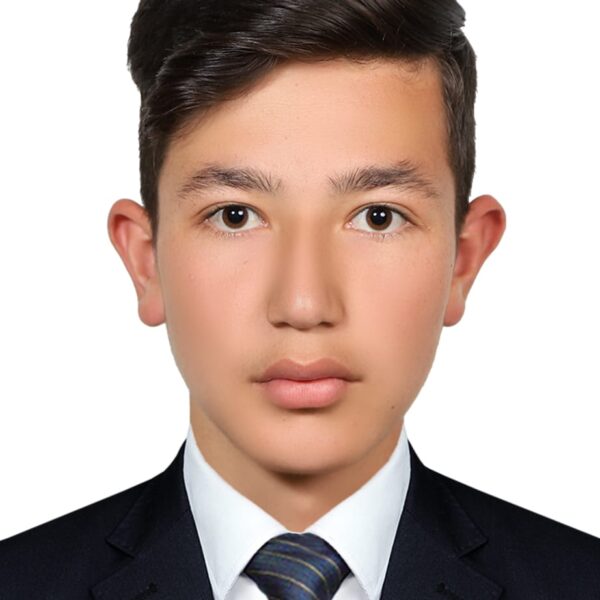 Ali Amiri