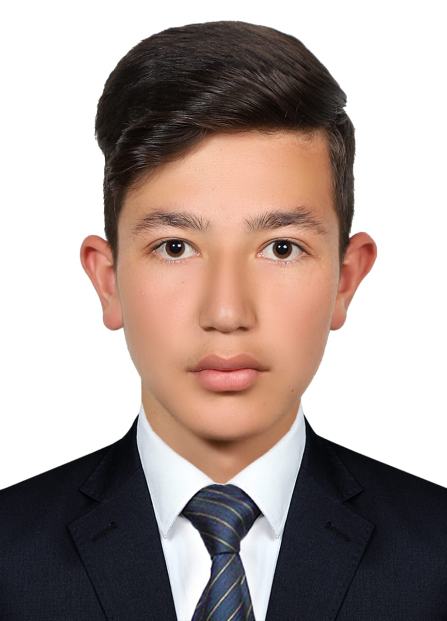 Ali Amiri